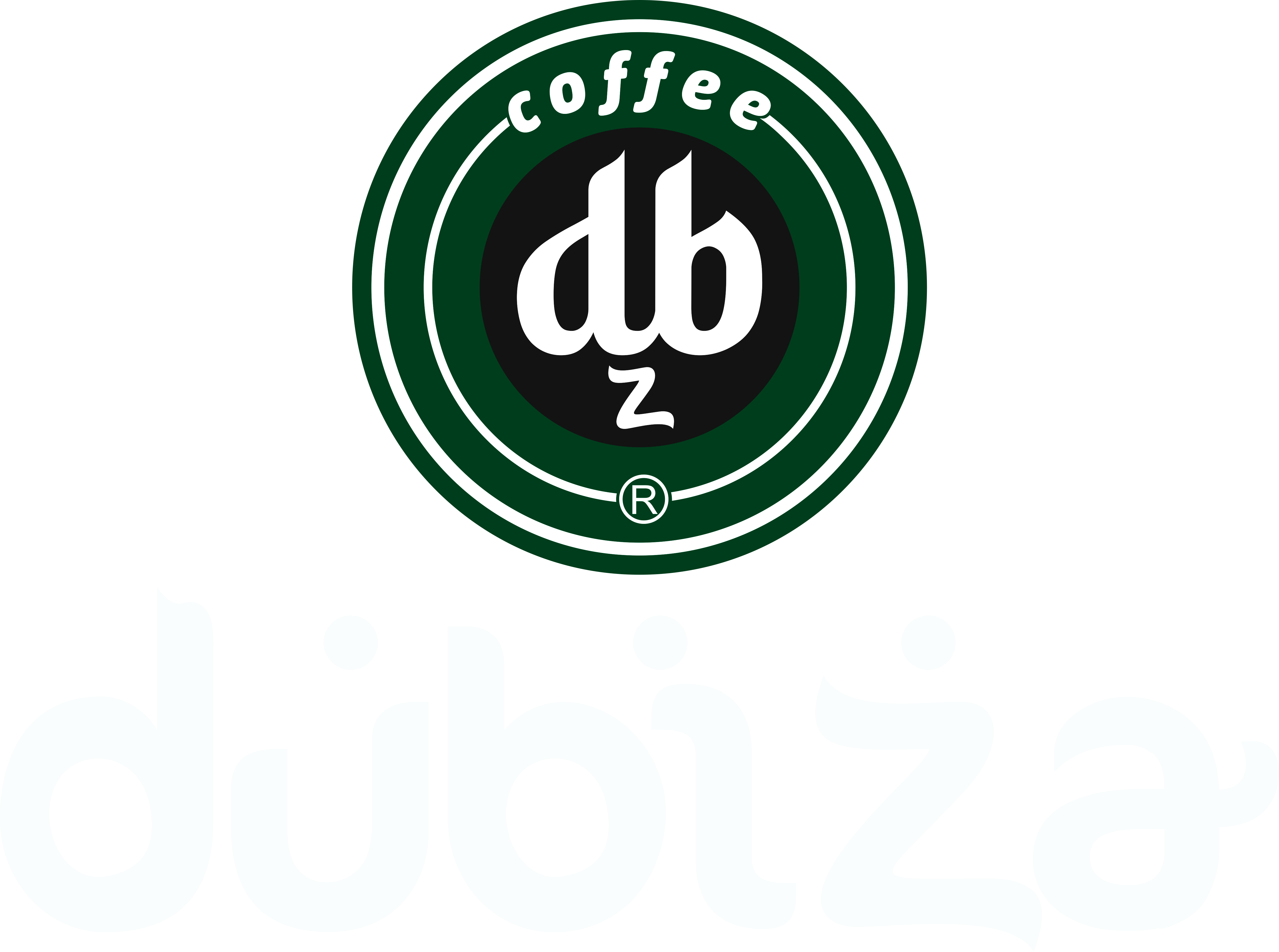 Dubiza logo
